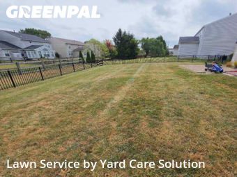 Yard Cutting nearby Springboro, OH, 