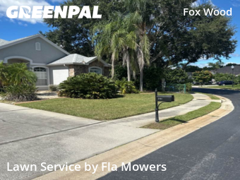 Grass Cutting nearby Trinity, FL, 