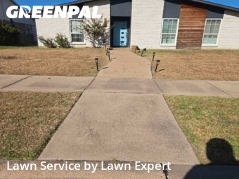 Yard Mowingin The Colony,75056,Lawn Cutting by Lawn Expert, work completed in Nov , 2025