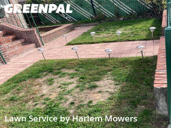 Lawn Cutting nearby Queens, NY, 