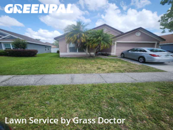 Lawn Mow nearby Orlando, FL, 