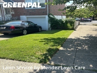 Lawn mowed in Philadelphia, 19142