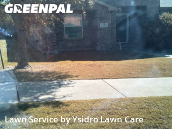 Lawn Cut nearby Desoto, TX, 