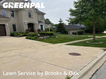 Lawn Mow nearby Woodridge, IL, 