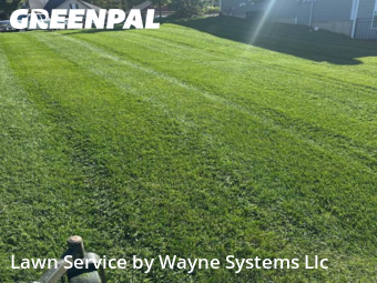 Grass Cut nearby Columbia, MO, 