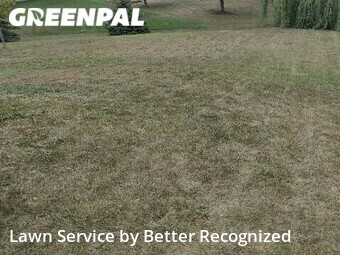 Lawn Care Service nearby Albertville, MN, 