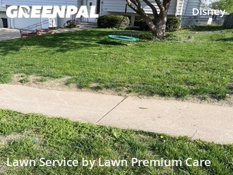 Lawn Care nearby Omaha, NE, 