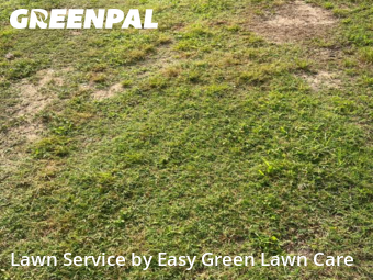 Lawn Cutting nearby Gallatin, TN, 