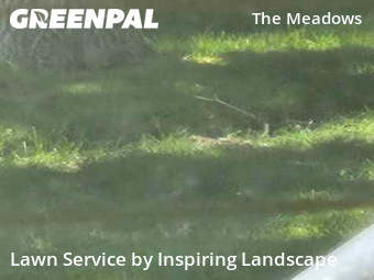 Yard Work in Castle Rock, 80109, Garden Trimming by Inspiring Landscape, work completed in Oct , 2025