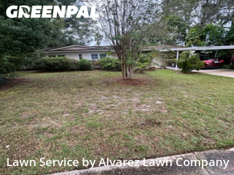 Grass Cut nearby Altamonte Springs, FL, 