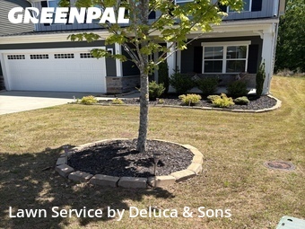 Lawn Cut nearby Greenville, SC, 