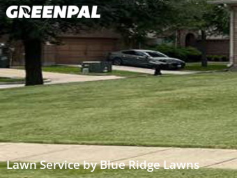 Lawn Cutting nearby Princeton, TX, 
