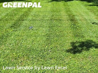 Lawn mowed in Noblesville, 46060