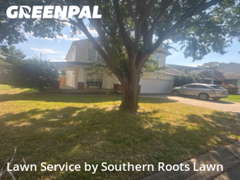 Grass Care in Mount Juliet, 37122, Lawn Upkeep by Southern Roots Lawn, work completed in Nov , 2025