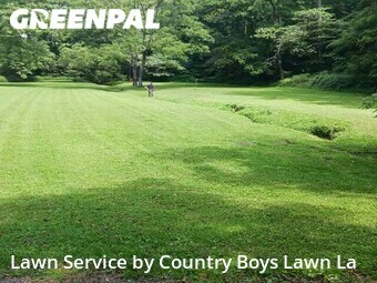 Lawn Cut nearby Johnson City, TN, 