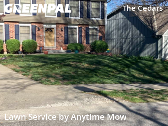 Grass Cut nearby Lenexa, MO, 