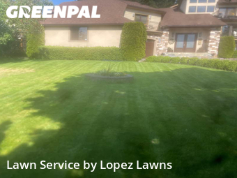 Yard Mowing nearby Newcastle, WA, 