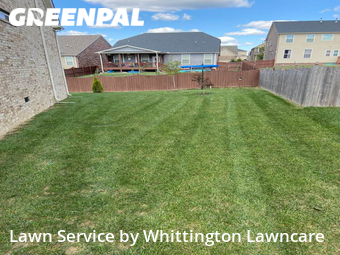 Lawn Mow nearby Mt. Juliet, TN, 