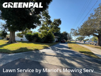 Grass Cut nearby Clearwater, FL, 