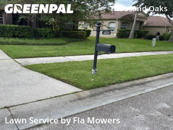 Lawn Mowing Service nearby Trinity, FL, 