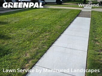 Yard Cutting nearby Columbus, OH, 