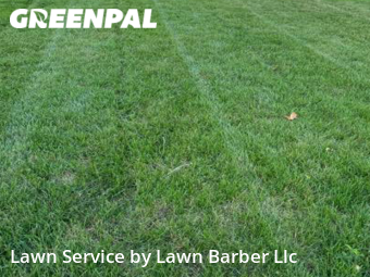 Lawn Mow nearby Greeley, CO, 