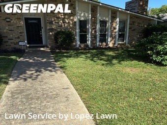 Grass Cut nearby Grand Prairie, TX, 