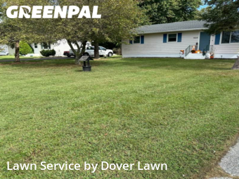 Lawn Care nearby Felton, DE, 