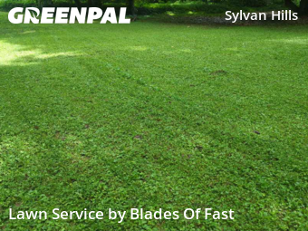 Lawn Mowing Service nearby Atlanta, GA, 