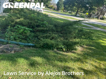 Lawn Care Servicein Elmhurst,60126,Lawn Service by Alejos Brothers, work completed in Nov , 2025