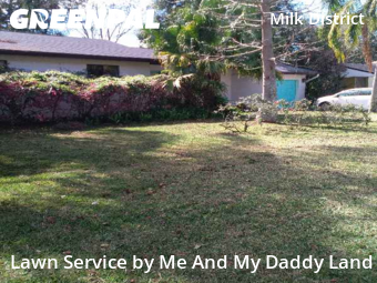 Grass Cut nearby Orlando, FL, 