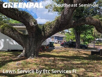 Lawn Care nearby Tampa, FL, 