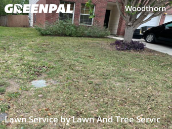 Lawn Care nearby San Antonio, TX, 
