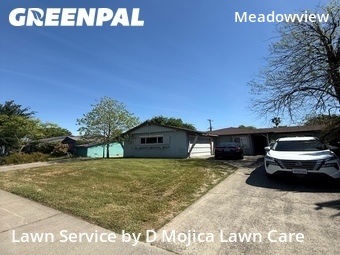 Yard Cutting nearby Sacramento, CA, 