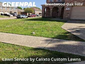 Grass Cut nearby Fort Worth, TX, 