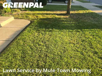 Lawn Cutting in Nolensville, 37135, Yard Care Services by Mule Town Mowing , work completed in Dec , 2025