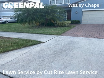 Yard Cutting nearby Wesley Chapel, FL, 
