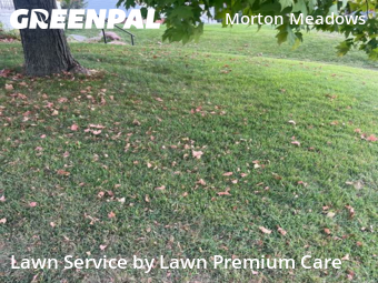 Grass Cut nearby Omaha, NE, 