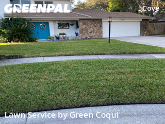 Grass Cut nearby Tampa, FL, 