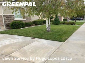 Work completed by professional-lawn-care-service-in-Menifee-CA