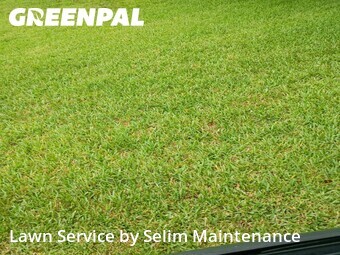 Lawn Mow nearby St. Augustine, FL, 