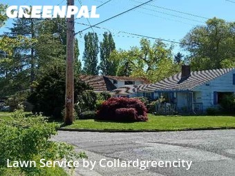 Yard Mowing nearby Seattle, WA, 