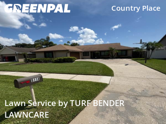 Lawn Cut nearby Tampa, FL, 