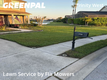 Lawn Mowing Service nearby Trinity, FL, 