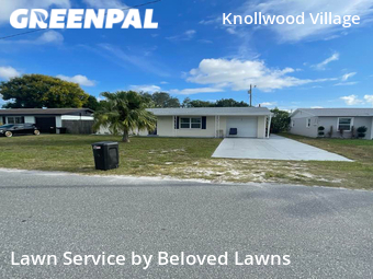 Lawn Care Service nearby Holiday, FL, 