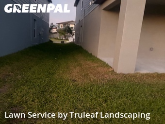 Grass Cut nearby Parrish, FL, 