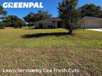 Lawn Cut nearby Ocala, FL, 