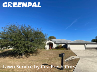 Lawn Cut nearby Ocala, FL, 