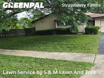 Lawn Service nearby Columbus, OH, 