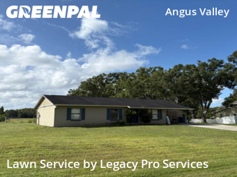 Lawn Cutting nearby Zephyrhills, FL, 